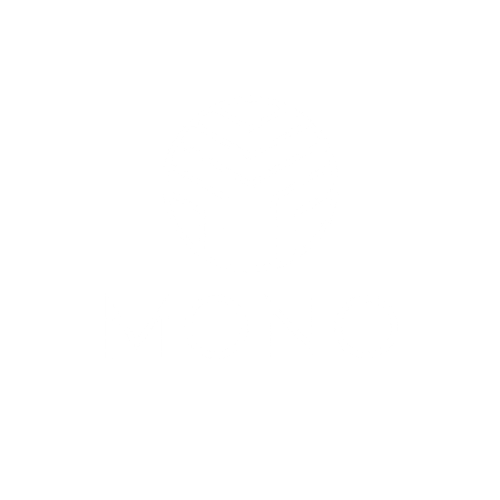 Mono Analytics Logo